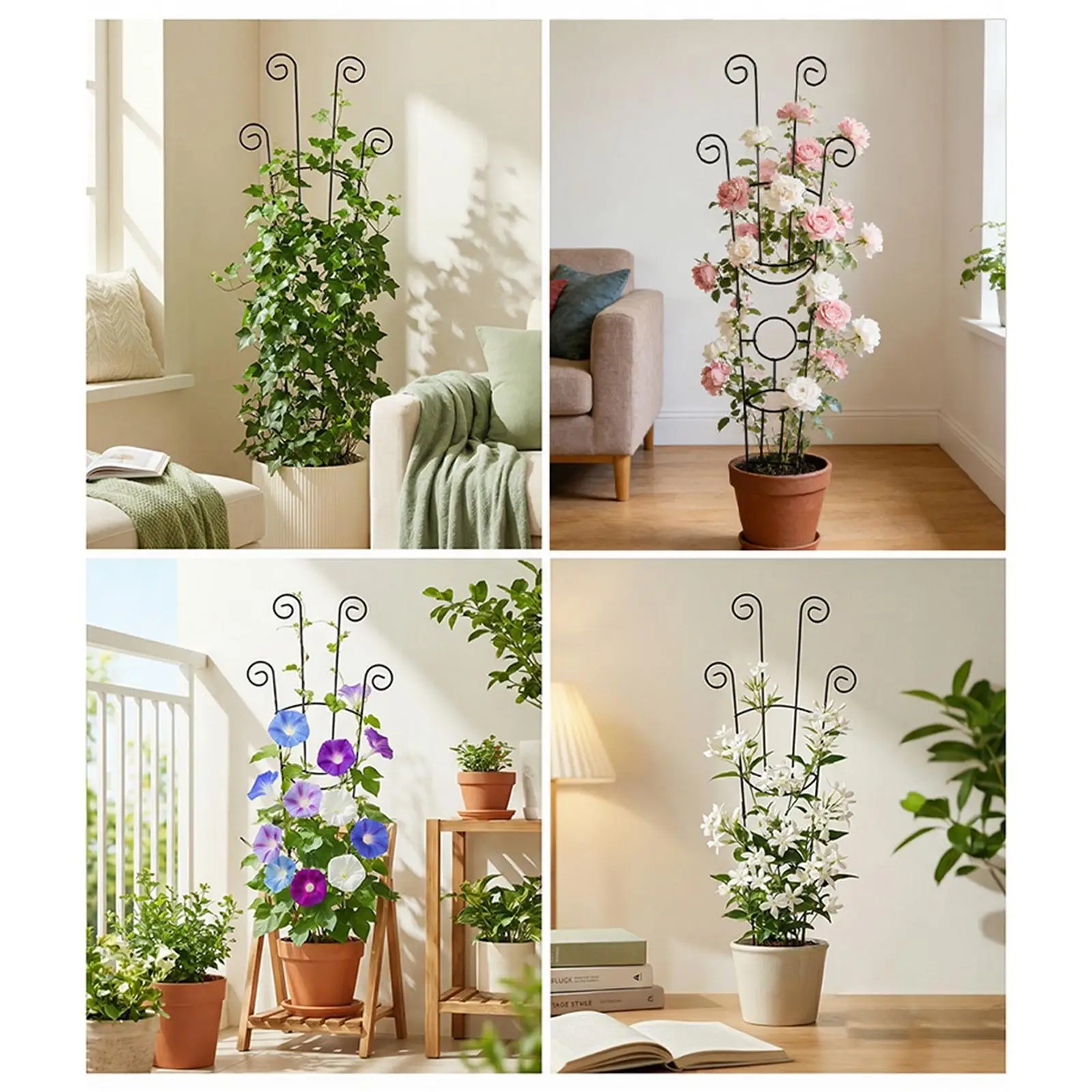 Heavy Duty Climbing Plant Support Metal Trellis for Garden Beds and Outdoor Potted Flower Protection
Heavy Duty Climbing Plant Support Metal Trellis for Garden Beds and Outdoor Potted Flower Protection