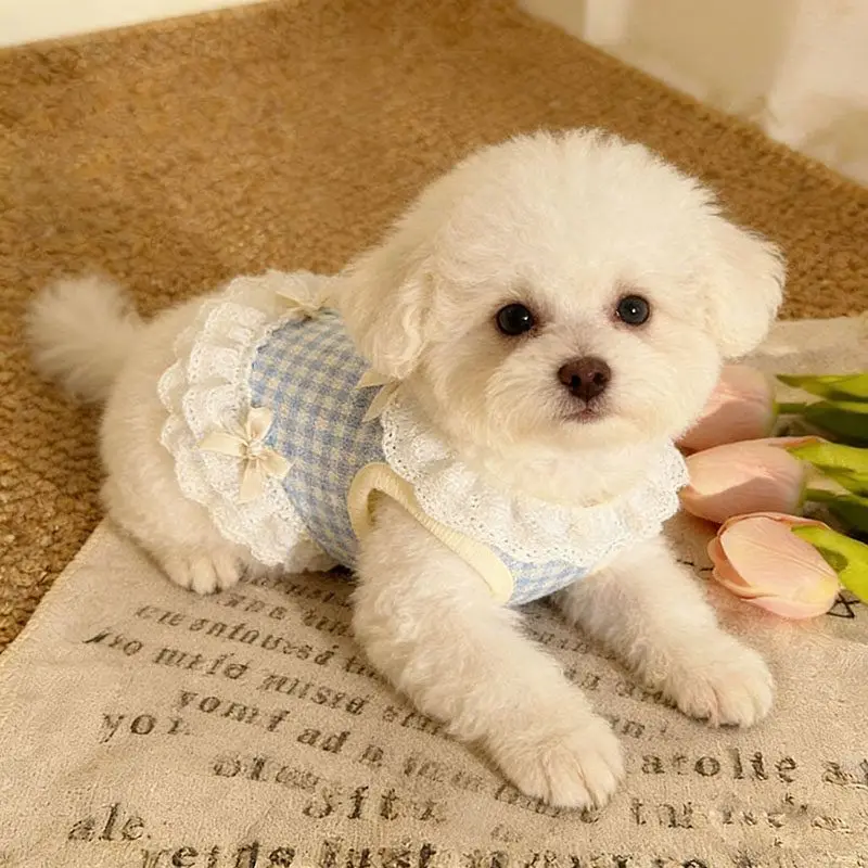 Summer Pet Lace Skirt Lightweight Cat And Dog Bow Lace Vest Thin Plingham Cute Princess Clothing For Teddy Bichon Yorkshire
Summer Pet Lace Skirt Lightweight Cat And Dog Bow Lace Vest Thin Plingham Cute Princess Clothing For Teddy Bichon Yorkshire