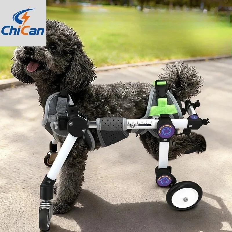 【Hot】Adjustable Foldable Dog 4-Wheel Pet Mobility Cart for Disabled Legs Metal Rehabilitation Training Aid&Walker for
【Hot】Adjustable Foldable Dog 4-Wheel Pet Mobility Cart for Disabled Legs Metal Rehabilitation Training Aid&Walker for