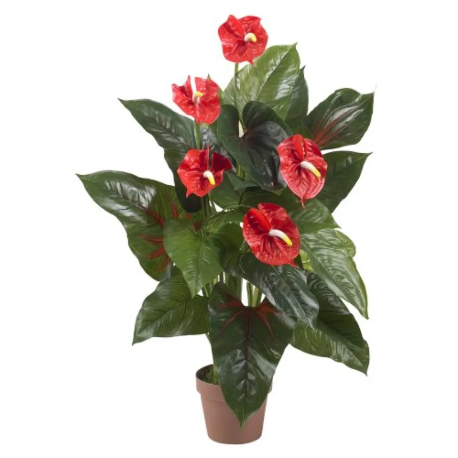 3ft. Anthurium Silk Plant Real Touch Red
3ft. Anthurium Silk Plant Real Touch Red