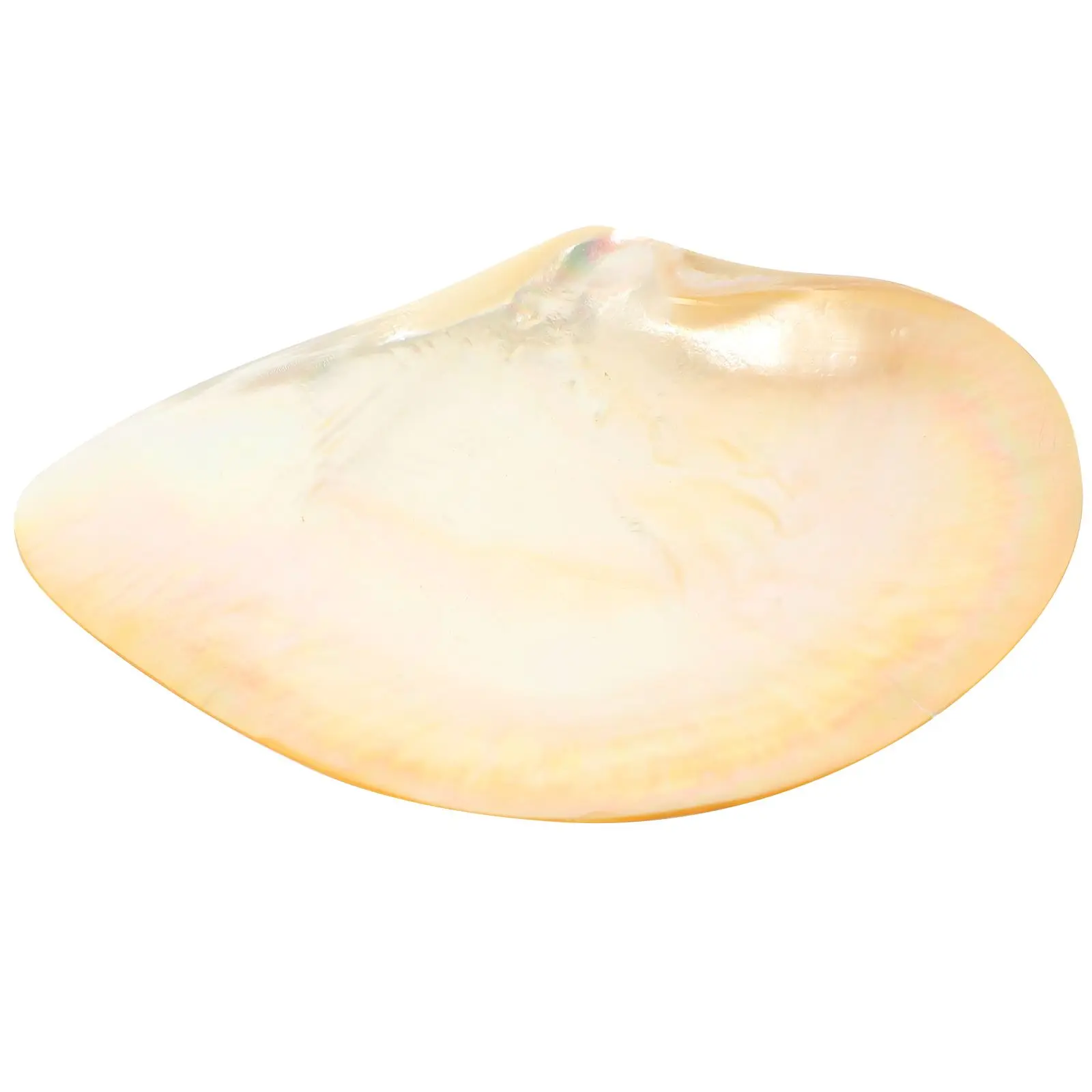 Shell Decorative Tray Elegant Dessert Trays for Serving Food Round Cutlery Platter Dish Mother
Shell Decorative Tray Elegant Dessert Trays for Serving Food Round Cutlery Platter Dish Mother