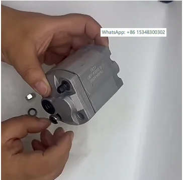 CBT-F202.1/202.6/F201.6/203.2/F203.7/204.2/205 Ge-ar Oil Pump
CBT-F202.1/202.6/F201.6/203.2/F203.7/204.2/205 Ge-ar Oil Pump