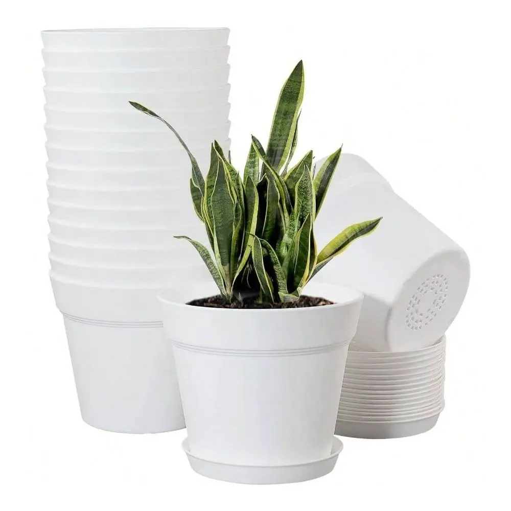 Pack 6 Inch Plastic Planters Indoor Flower Pots, Heavy Duty And Stylish 6 Inch Plant Pots Indoor Plants With Drainage Holes And
Pack 6 Inch Plastic Planters Indoor Flower Pots, Heavy Duty And Stylish 6 Inch Plant Pots Indoor Plants With Drainage Holes And