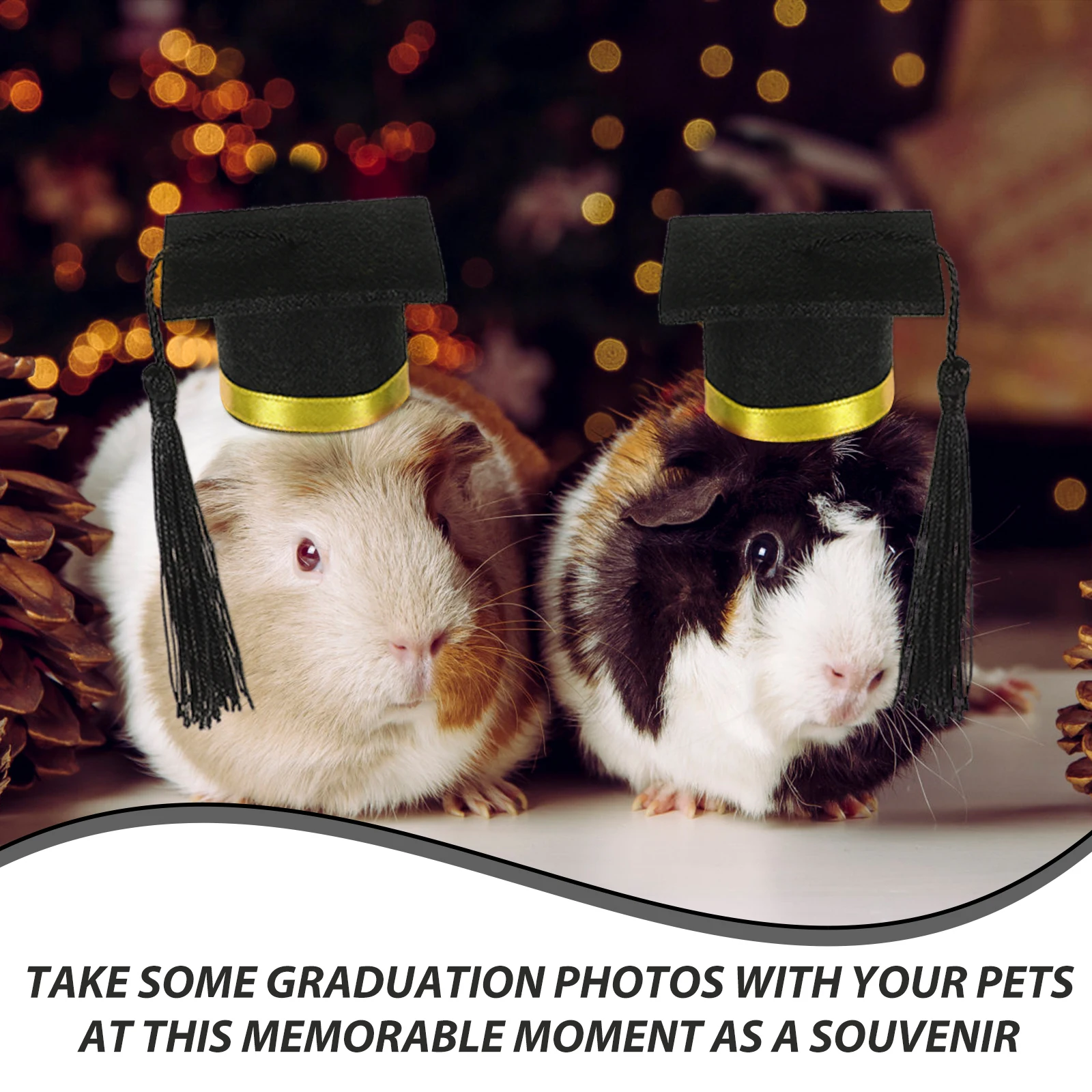 Small Pet Graduation Cap Felt Hamster Hat Mini Photo Prop Washable Safe Comfortable Costume Mini Graduation Cap 
Small Pet Graduation Cap Felt Hamster Hat Mini Photo Prop Washable Safe Comfortable Costume Mini Graduation Cap