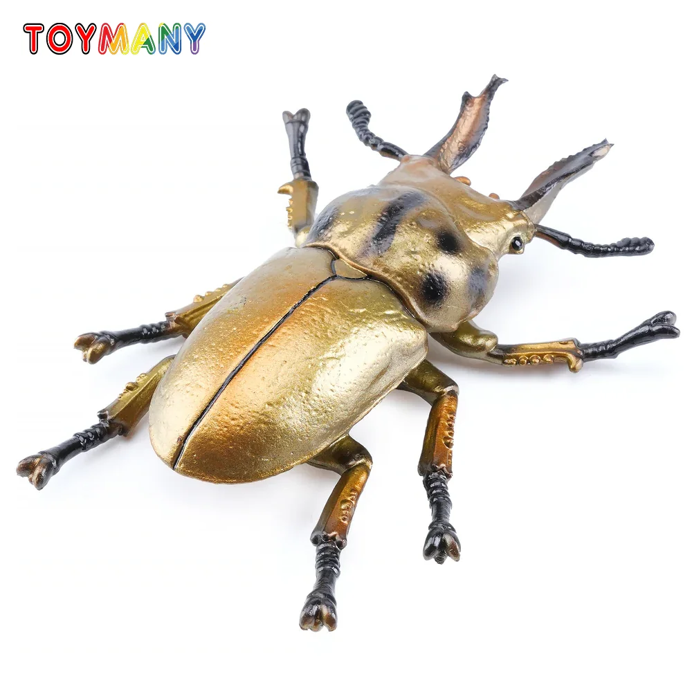 Toymany SimulationGolden Stag Beetle Animal Model Toy Mini Figures Dolls Action Figurines Toys Children Gift
Toymany SimulationGolden Stag Beetle Animal Model Toy Mini Figures Dolls Action Figurines Toys Children Gift