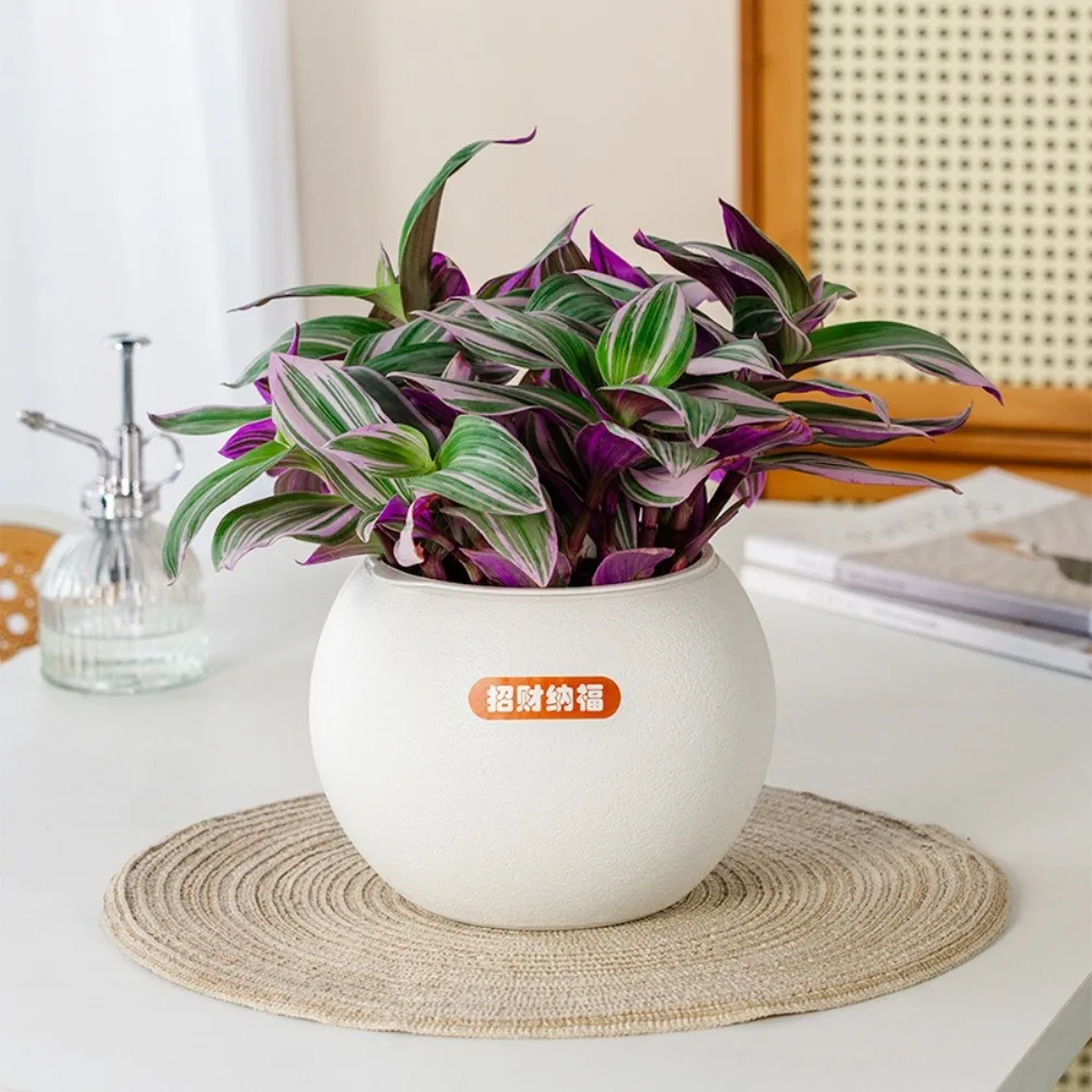 New Self Watering Hydroponic Plants Pot Plastic Removable Flowerpot Office Bonsai Decor
New Self Watering Hydroponic Plants Pot Plastic Removable Flowerpot Office Bonsai Decor