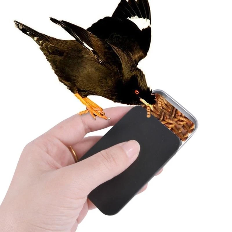 Bird Training Hand-held Feeder Portable Bird Feeder Cups Parrot Outdoor Training Food Jar Pet Birds Food Treat high quality
Bird Training Hand-held Feeder Portable Bird Feeder Cups Parrot Outdoor Training Food Jar Pet Birds Food Treat high quality