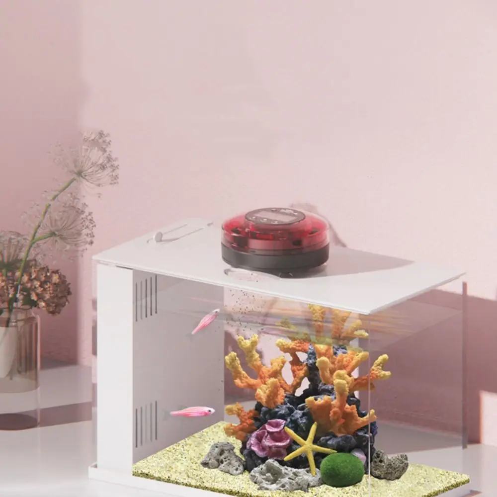 with Timer Fish Auto Feeder Rechargeable LCD Display Aquarium Automatic Food Dispenser Durable 100ML Fish Tank Supplies
with Timer Fish Auto Feeder Rechargeable LCD Display Aquarium Automatic Food Dispenser Durable 100ML Fish Tank Supplies