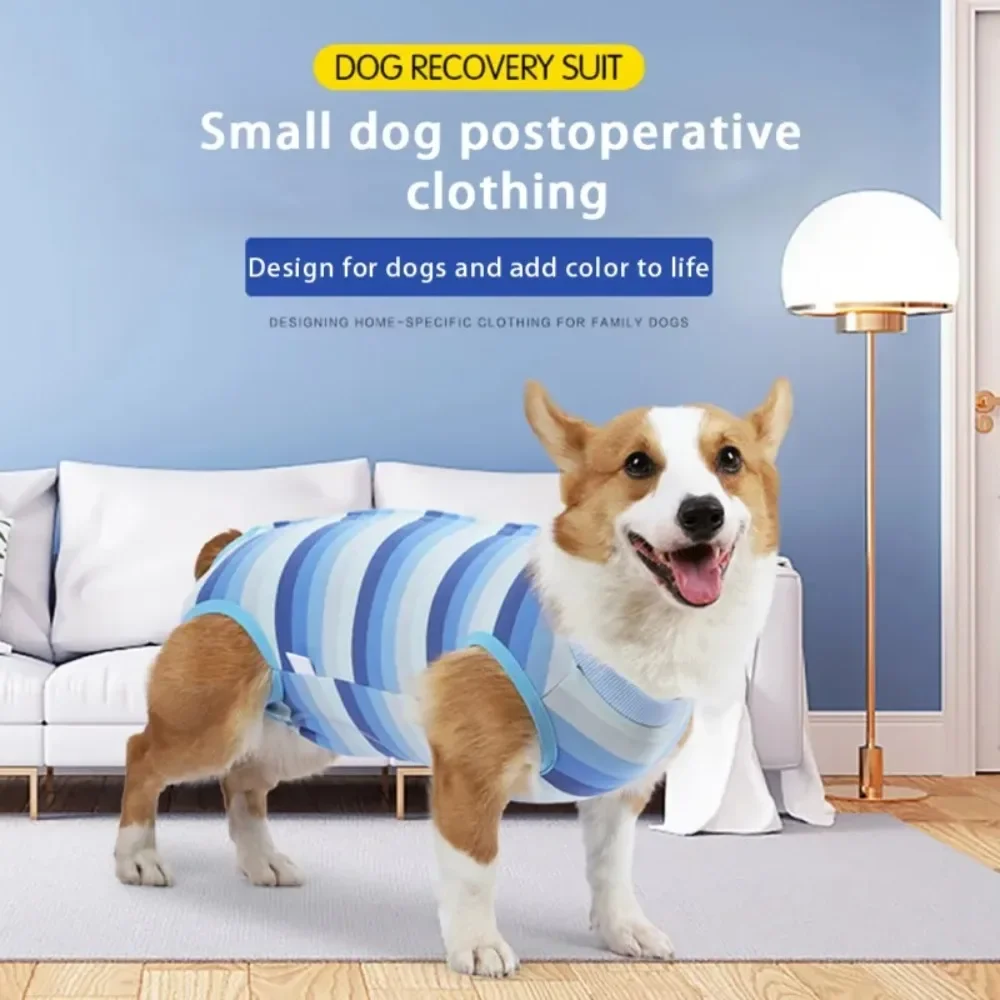 1pc Dogs Weaning Vest Stripe Small Dog Cat Jumpsuit Anti-lick Recovery Clothing After Surgery Cute Pet Care Clothes Pet Supplies
1pc Dogs Weaning Vest Stripe Small Dog Cat Jumpsuit Anti-lick Recovery Clothing After Surgery Cute Pet Care Clothes Pet Supplies