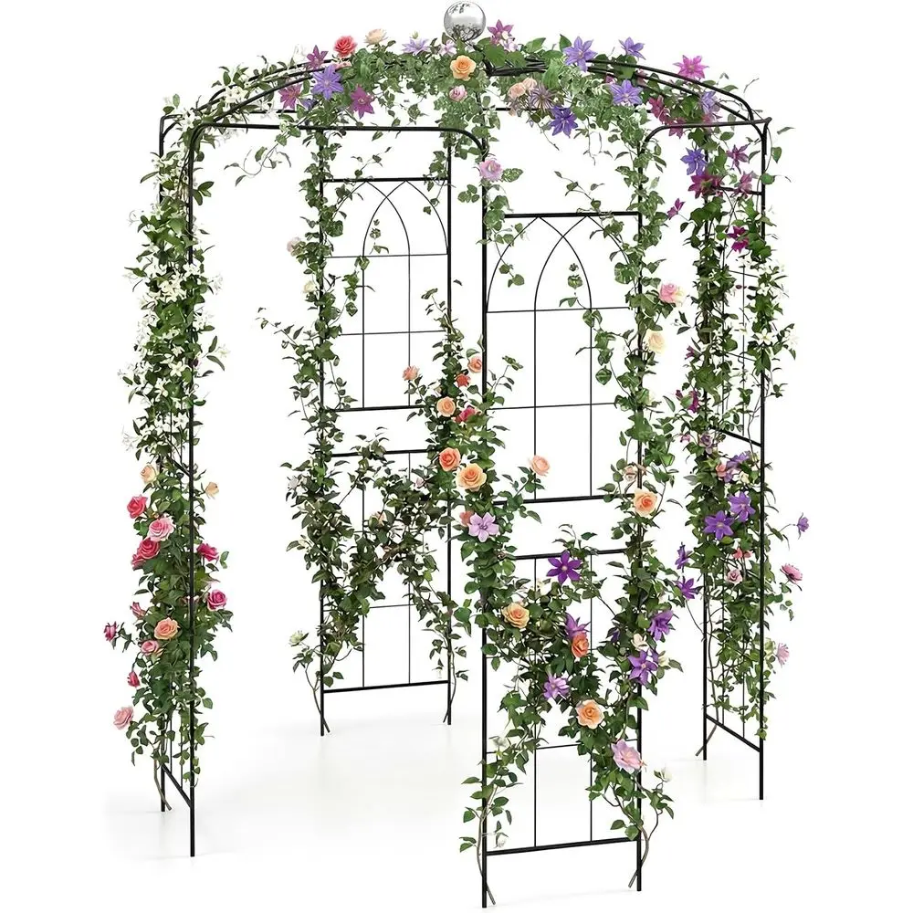 Elegant Metal Arch Gazebo with Trellis, Perfect for Climbing Plants, Outdoor Weddings, and Garden Parties
Elegant Metal Arch Gazebo with Trellis, Perfect for Climbing Plants, Outdoor Weddings, and Garden Parties