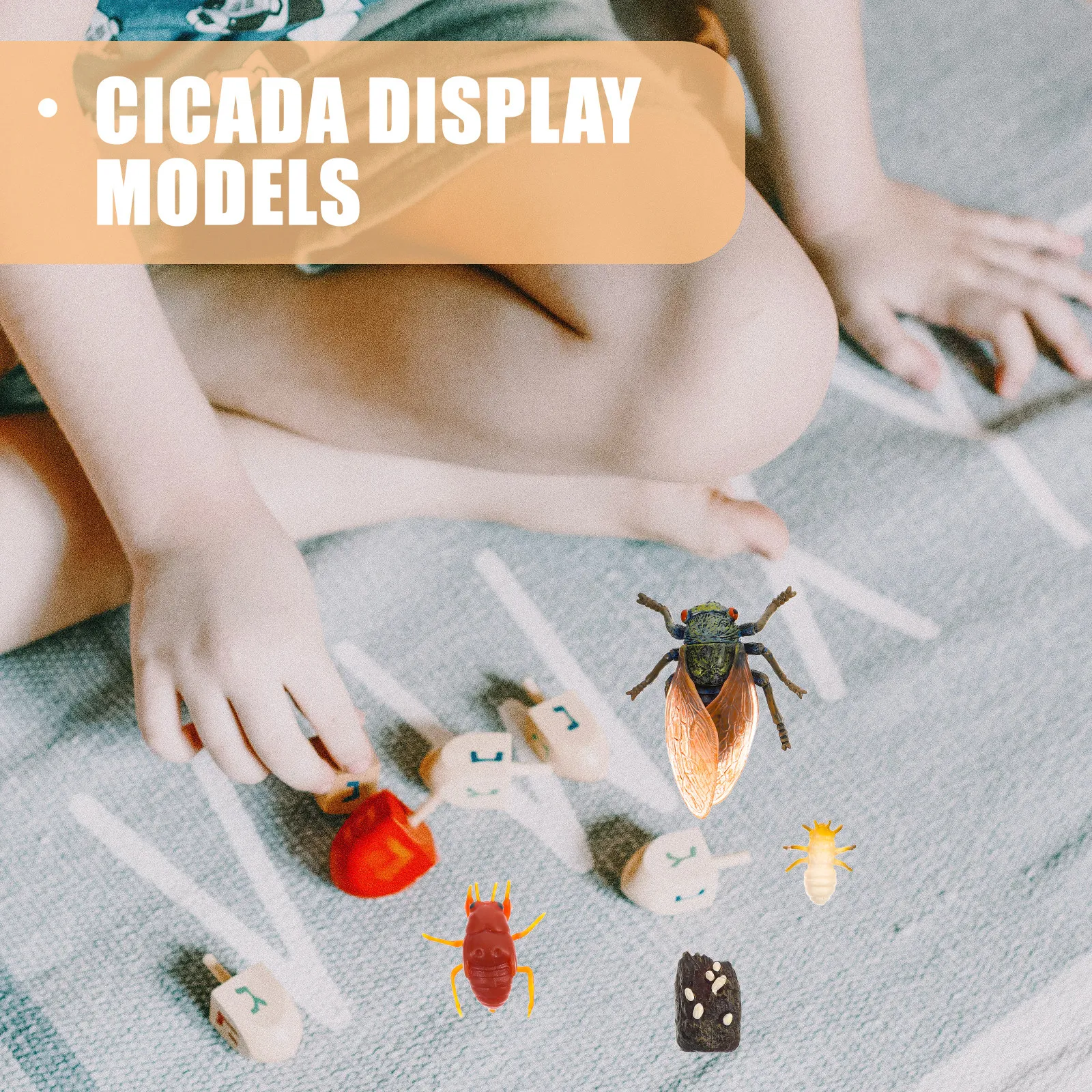 1Set Simulation Cicada Growth Cycle Ornaments Educational Display Decoration for Kids Learning Cognitive School
1Set Simulation Cicada Growth Cycle Ornaments Educational Display Decoration for Kids Learning Cognitive School
