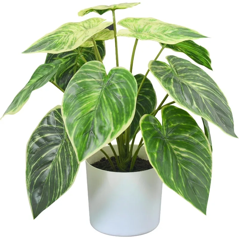 15.8'' Birkin Philodendron, Artificial Alocasia Plant in Pot Greenery Aesthetic House Plants for Home Decor Indoor Bathroom
15.8'' Birkin Philodendron, Artificial Alocasia Plant in Pot Greenery Aesthetic House Plants for Home Decor Indoor Bathroom