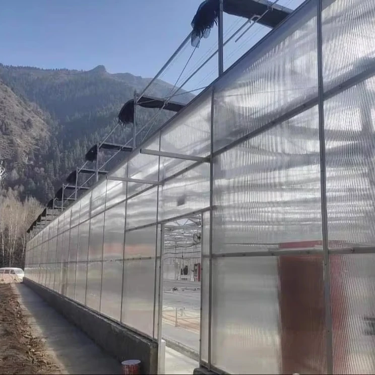Customized greenhouseDouble-layer Polycarbonate Greenhouse for Year-Round Vegetable Cultivation
Customized greenhouseDouble-layer Polycarbonate Greenhouse for Year-Round Vegetable Cultivation