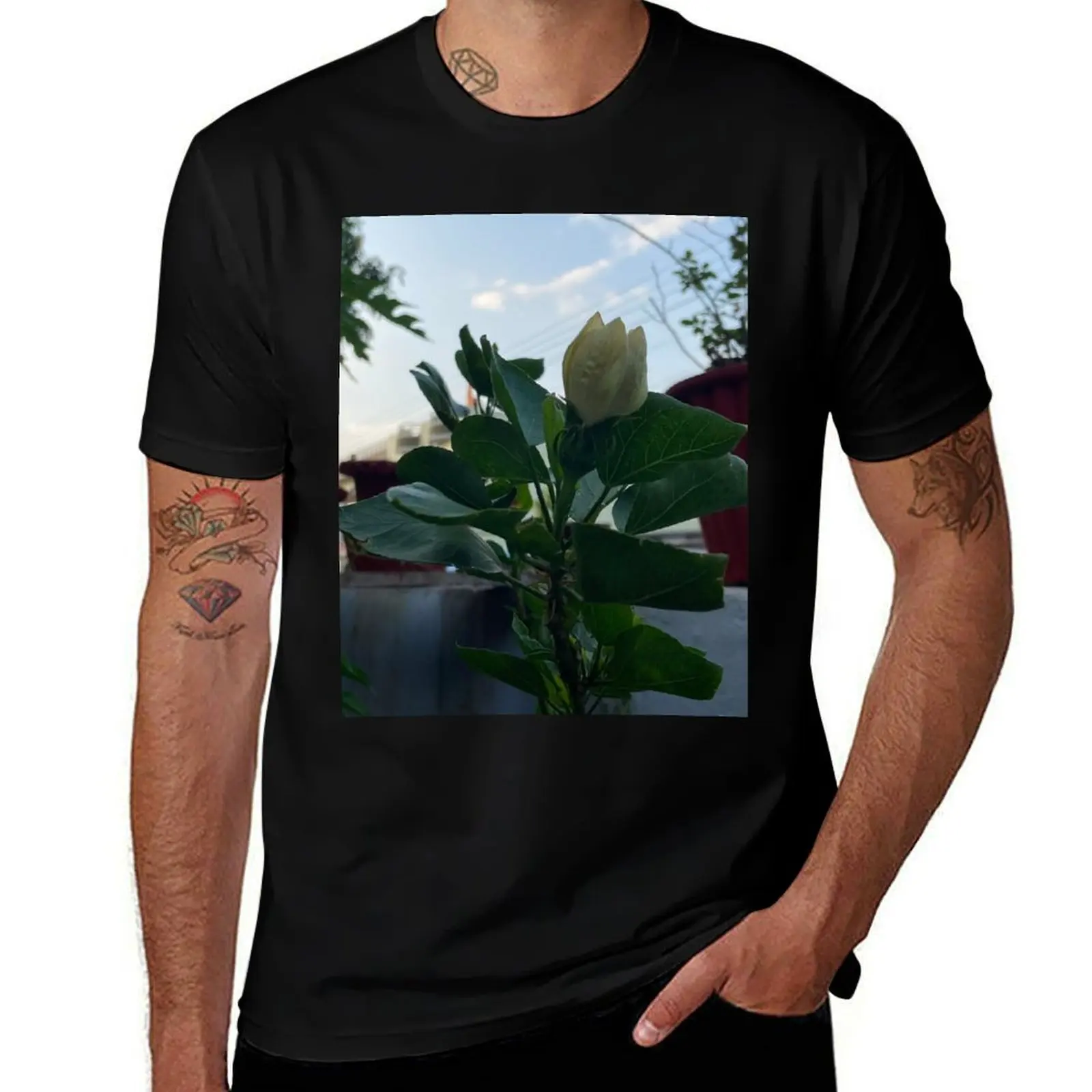 Leafy style T-Shirt funny costumes Man t-shirt plus size tops boys whites mens cotton t shirts
Leafy style T-Shirt funny costumes Man t-shirt plus size tops boys whites mens cotton t shirts