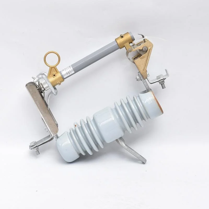 RW4-10KV High Voltage Drop Fuse with High Breaking Capacity
RW4-10KV High Voltage Drop Fuse with High Breaking Capacity