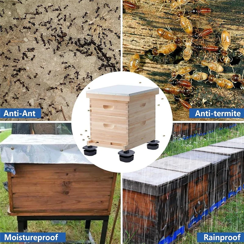 ABLA-Beehive Stand Sturdy Beehive Foot Stand, For Outdoor Garden Beekeeper Workshop Beehive Base
ABLA-Beehive Stand Sturdy Beehive Foot Stand, For Outdoor Garden Beekeeper Workshop Beehive Base