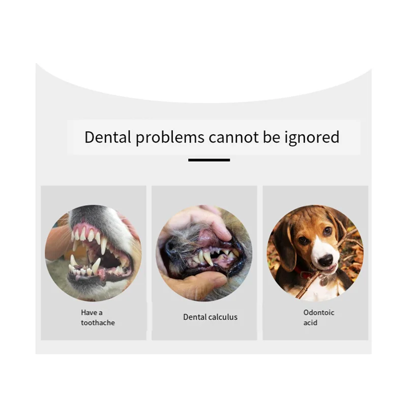 Pet Dog Toothbrush, 4 Triple Head Tooth Brush 3 Pack Finger Rubber Toothbrushes, Multi-Angle Cleaning Brushes
Pet Dog Toothbrush, 4 Triple Head Tooth Brush 3 Pack Finger Rubber Toothbrushes, Multi-Angle Cleaning Brushes