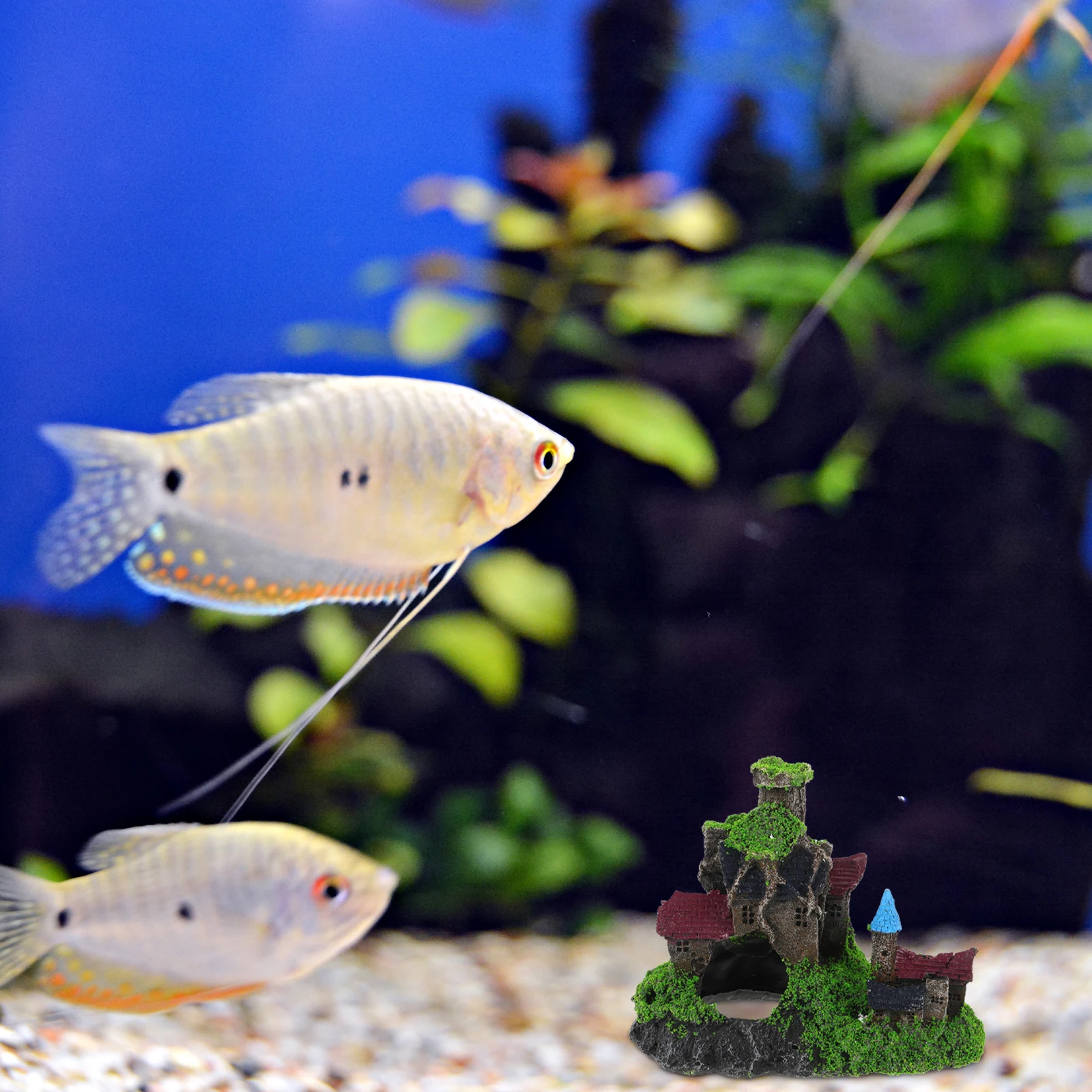 Creative Resin Broken Ornament Delicate Aquarium Decoration Statue Wear-Resistant Decor Aquarium Landscaping Ornament Decorative
Creative Resin Broken Ornament Delicate Aquarium Decoration Statue Wear-Resistant Decor Aquarium Landscaping Ornament Decorative