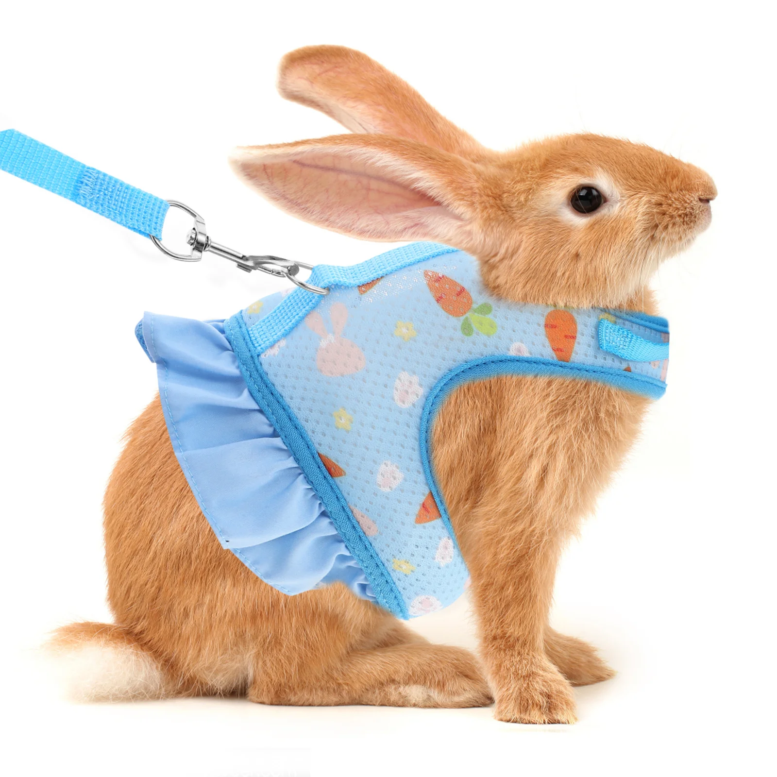 Set Adjustable Pet Chest Belt for Guinea Pig Dog Ferret Small Animals Polyester Liner with Leash
Set Adjustable Pet Chest Belt for Guinea Pig Dog Ferret Small Animals Polyester Liner with Leash