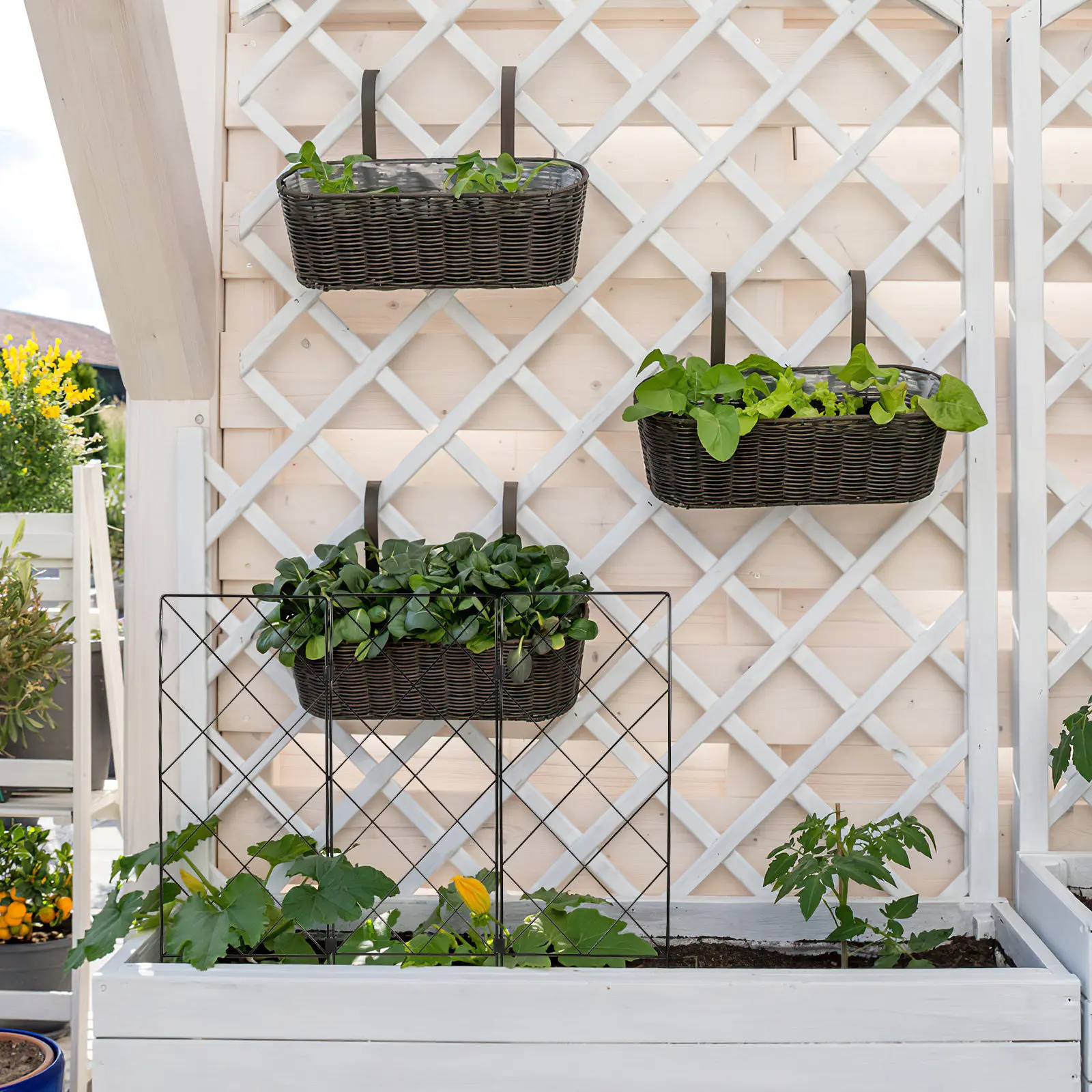 Iron Foldable Garden Trellis Plant Support Stand Multifunctional Climbing Frame for Vegetables Vines Flowers Peas Cucumbers
Iron Foldable Garden Trellis Plant Support Stand Multifunctional Climbing Frame for Vegetables Vines Flowers Peas Cucumbers