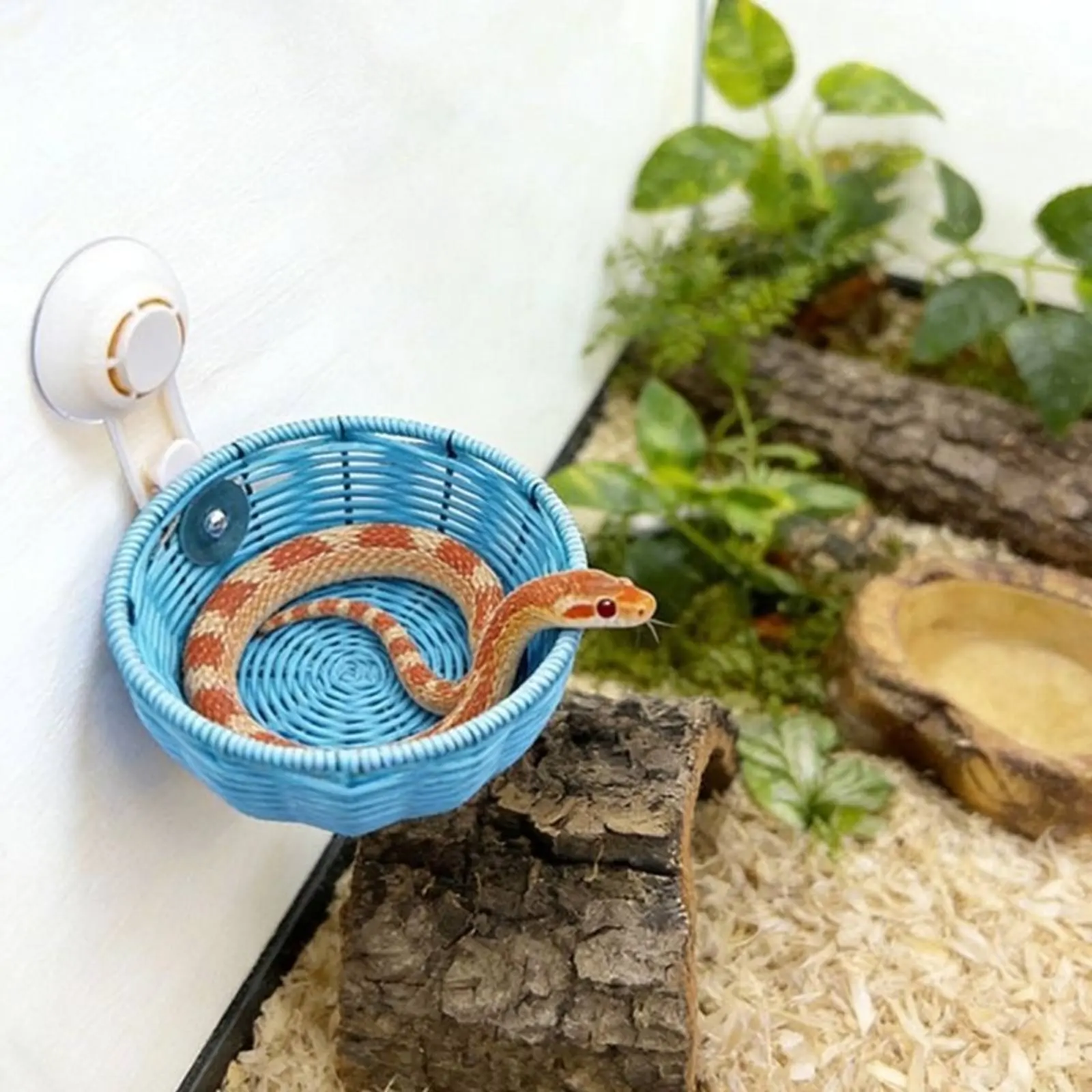 Woven Hanging Hide Space-Saving Basket Hideout Pet Accessory for Terrarium
Woven Hanging Hide Space-Saving Basket Hideout Pet Accessory for Terrarium