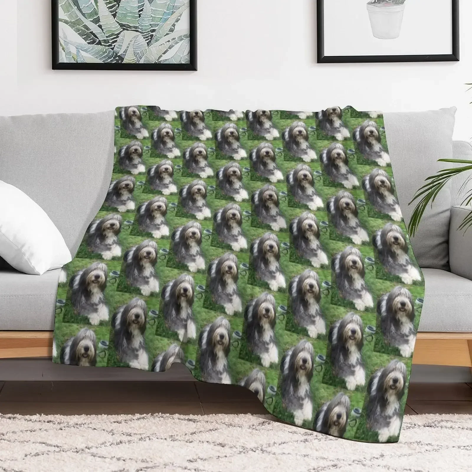 Bearded Collie - Happy Chappy Beardie Throw Blanket Summer warm for winter Blankets
Bearded Collie - Happy Chappy Beardie Throw Blanket Summer warm for winter Blankets