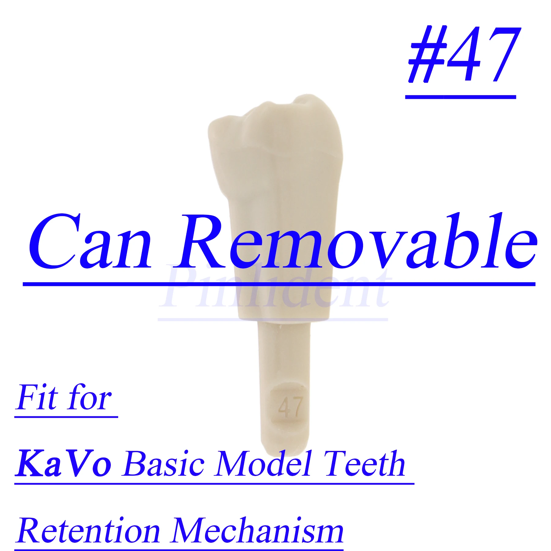 32PCS Dental Tooth Models KaVo #47 Basic Dental Retainer Model Replacement Teeth Practice Exercise
32PCS Dental Tooth Models KaVo #47 Basic Dental Retainer Model Replacement Teeth Practice Exercise