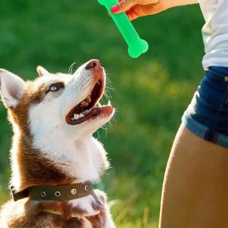 Dog Chewing Toys Durable Rubber Bone Puppy Teeth Cleaning Dental Care Multi Layered Textured Design Non Toxic Energy Release Mul
Dog Chewing Toys Durable Rubber Bone Puppy Teeth Cleaning Dental Care Multi Layered Textured Design Non Toxic Energy Release Mul