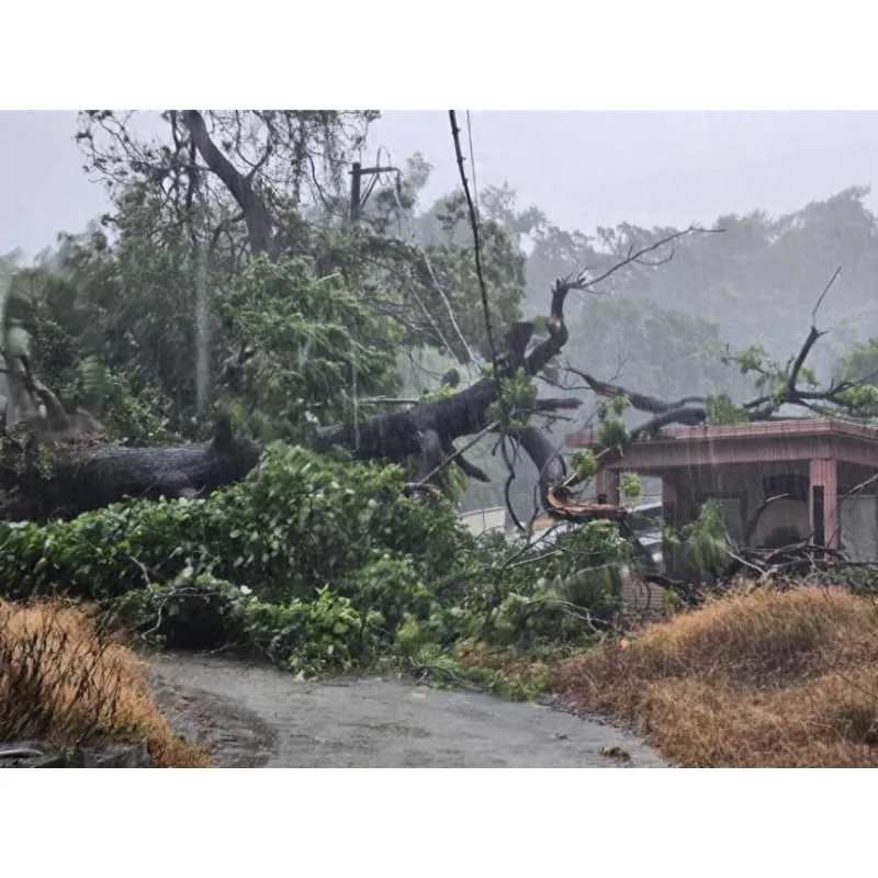 Tiy 2.4A QC3.0 Dual USB Быстрая зарядка Громкая связь Автомобильный AUX-адаптер MP3-плеер с большим цветным экраном Беспроводной FM-трансми
Tiy 2.4A QC3.0 Dual USB Быстрая зарядка Громкая связь Автомобильный AUX-адаптер MP3-плеер с большим цветным экраном Беспроводной FM-трансми