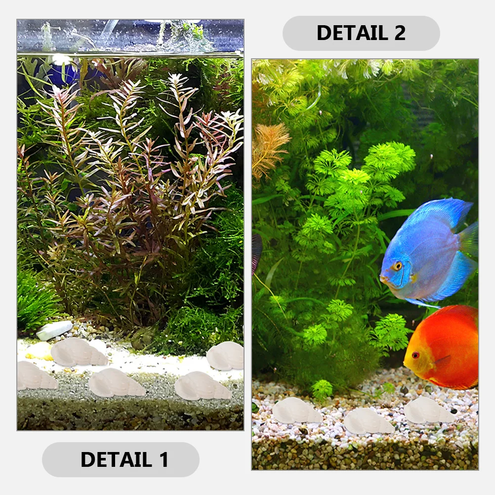 400Pcs Natural Conch Shells Decor Smooth Edges Aquarium Fish Tank Landscape Creative DIY Craft Ornament Desktop Decoration
400Pcs Natural Conch Shells Decor Smooth Edges Aquarium Fish Tank Landscape Creative DIY Craft Ornament Desktop Decoration