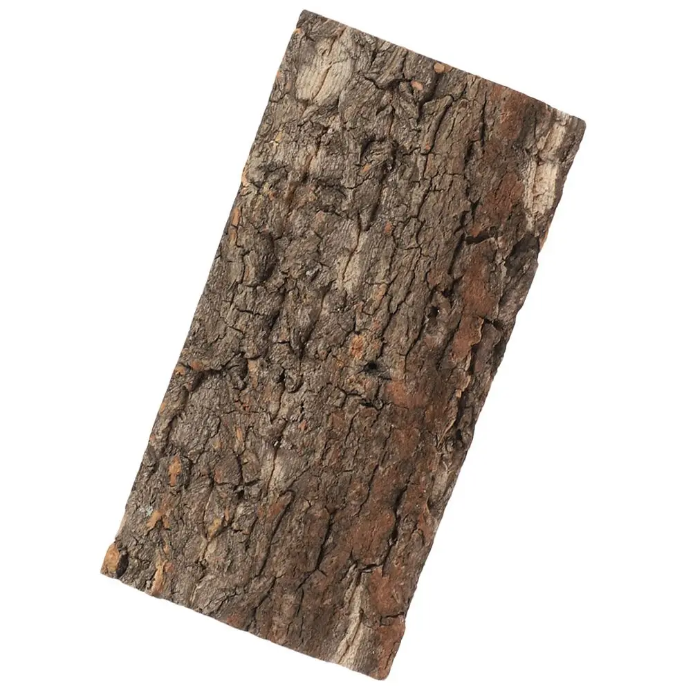 Cork Bark Background Board 10x20cm Natural Tree Bark Terrarium Reptile Tank Fish Aquarium Decor Room Wall Scene Pet
Cork Bark Background Board 10x20cm Natural Tree Bark Terrarium Reptile Tank Fish Aquarium Decor Room Wall Scene Pet