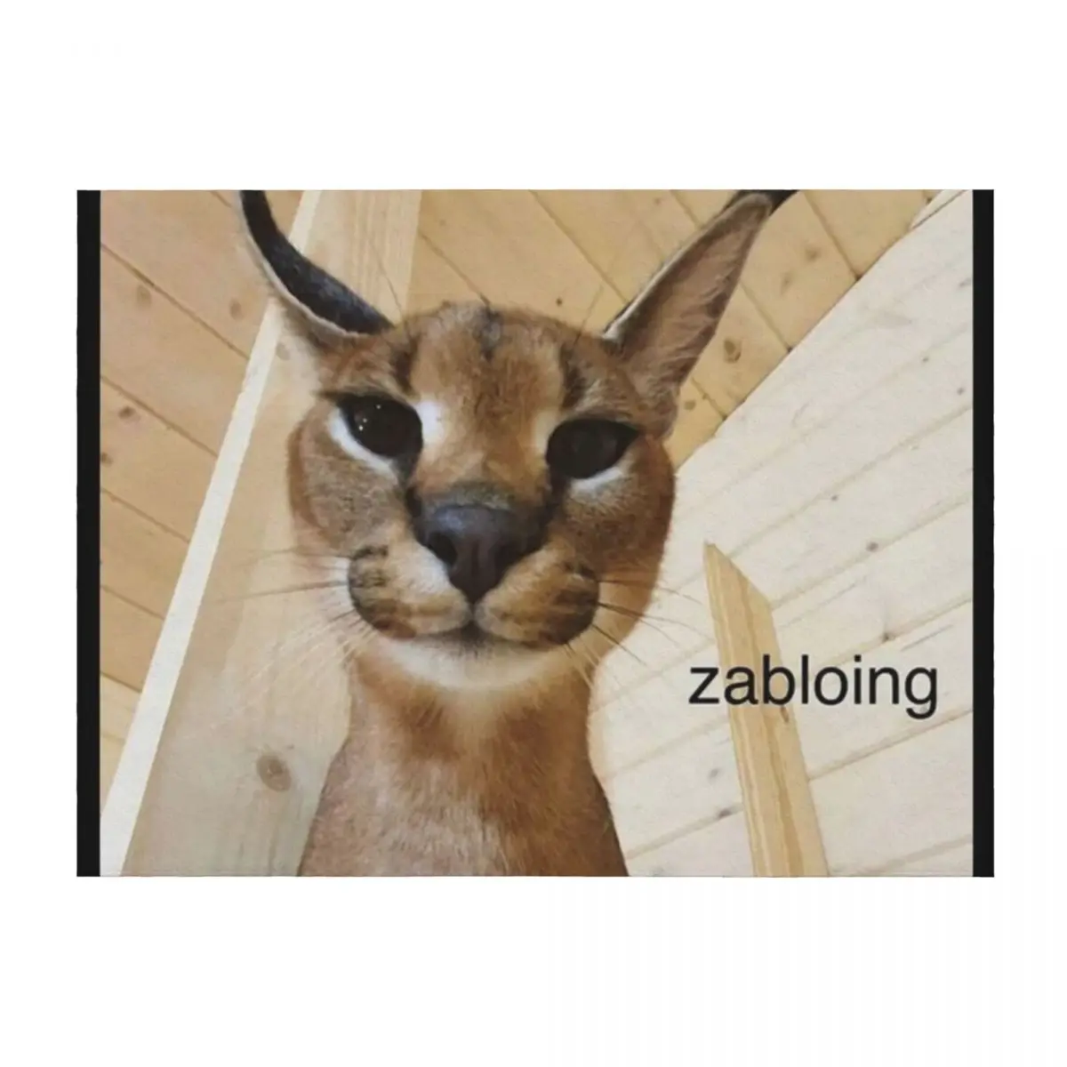 Zabloing Meme Throw Blanket Sofa Flannel Fabric warm winter Plaid Blankets
Zabloing Meme Throw Blanket Sofa Flannel Fabric warm winter Plaid Blankets