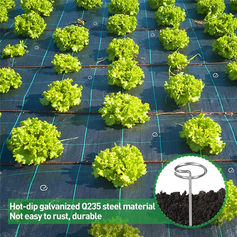 ABGR-Landscape Staples 6In Rust-Resistant Galvanized Garden Staples Round Top Landscape Staples Ground Cover Fabric Staples
ABGR-Landscape Staples 6In Rust-Resistant Galvanized Garden Staples Round Top Landscape Staples Ground Cover Fabric Staples