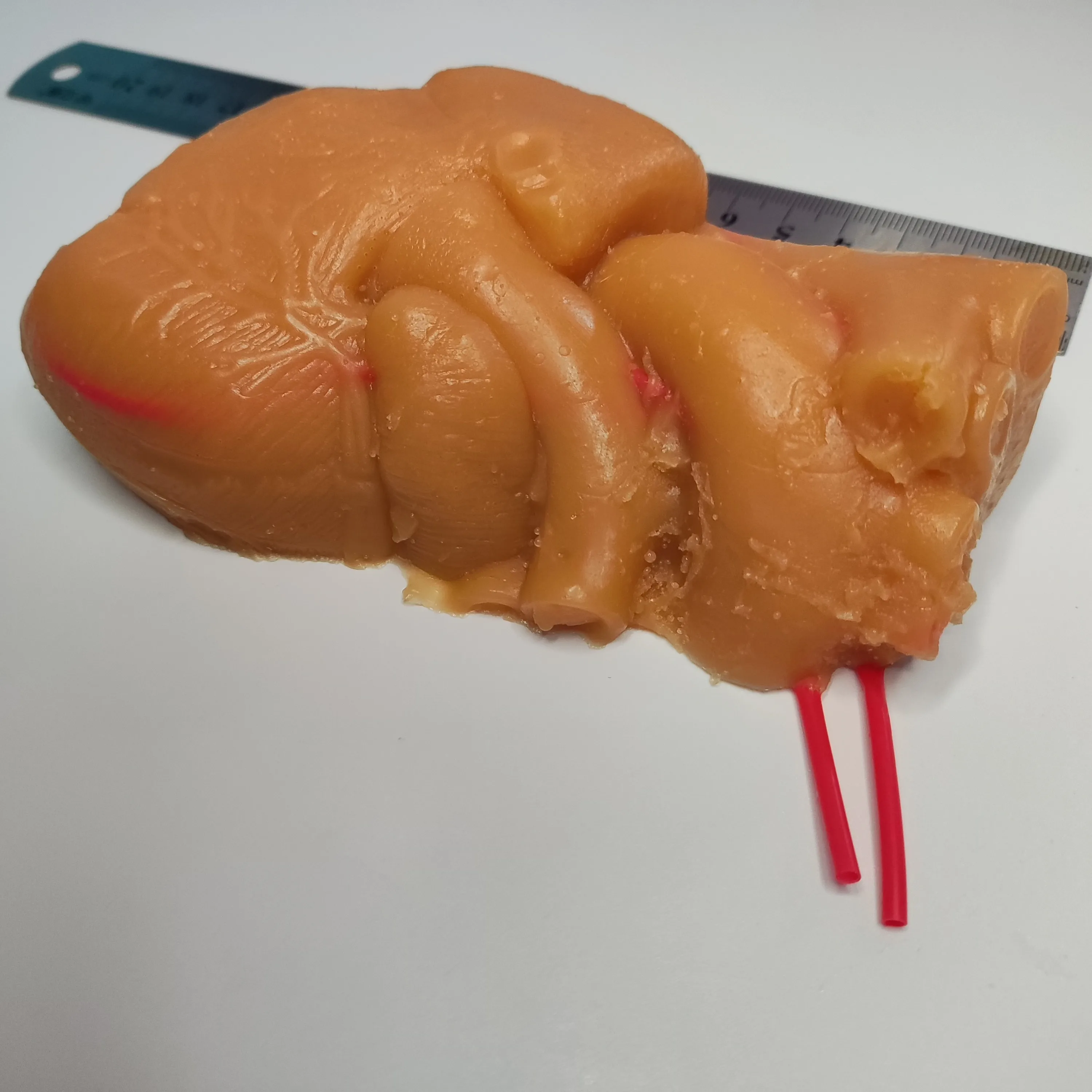 Simulation training model of cardiac suture vascular anastomosis in cardiothoracic surgery
Simulation training model of cardiac suture vascular anastomosis in cardiothoracic surgery