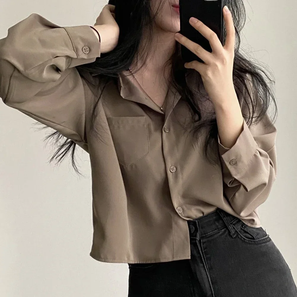 Chiffon Casual Shirt Blouse Solid Color Blouse Long Sleeve Top Chiffon Material Daily Casual Wear Office Attire
Chiffon Casual Shirt Blouse Solid Color Blouse Long Sleeve Top Chiffon Material Daily Casual Wear Office Attire