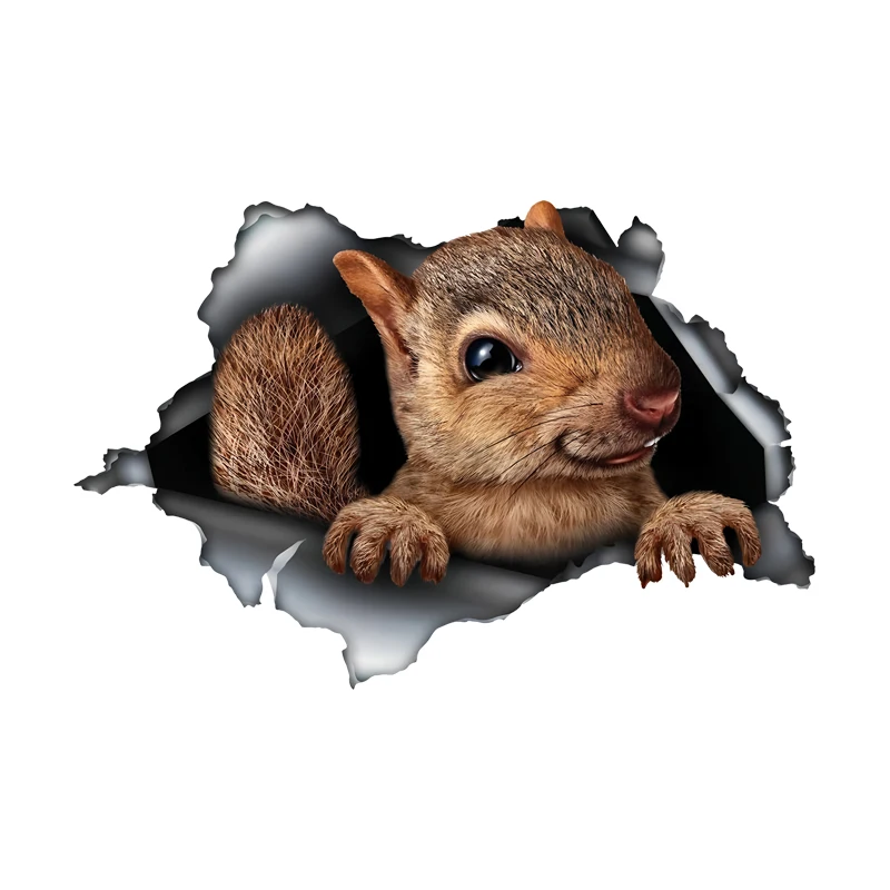 DK502# Cute Squirrel Hiding in the Hole Sticker, 1pc Funny Car Decal, Suitable for Cars, Trucks, Motorcycles, Walls
DK502# Cute Squirrel Hiding in the Hole Sticker, 1pc Funny Car Decal, Suitable for Cars, Trucks, Motorcycles, Walls