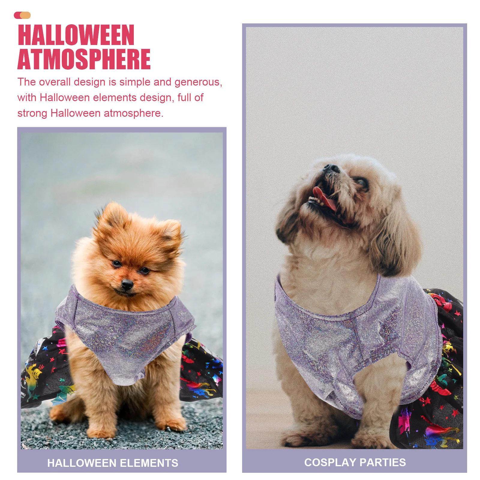 Halloween Themed Dog Skirt Decorative Pet Party Dress Spiderweb Printing Comfortable Puppy Clothing Halloween Costume
Halloween Themed Dog Skirt Decorative Pet Party Dress Spiderweb Printing Comfortable Puppy Clothing Halloween Costume