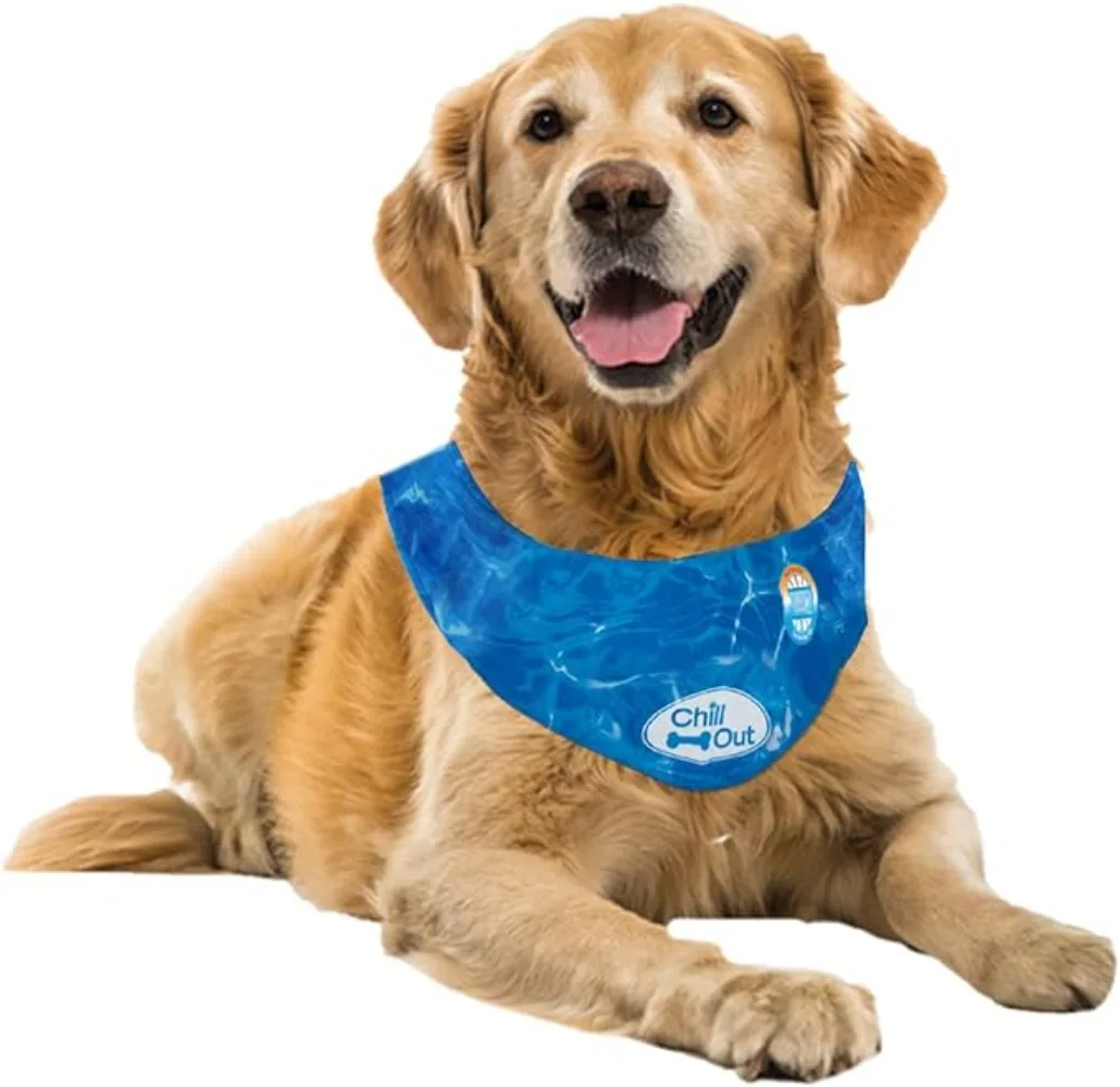 Pet Cooling Ice Scarf Cool, headband dog collar cat collar, cooling pet headband, summer breathable scarf,neck cooler for dogs
Pet Cooling Ice Scarf Cool, headband dog collar cat collar, cooling pet headband, summer breathable scarf,neck cooler for dogs