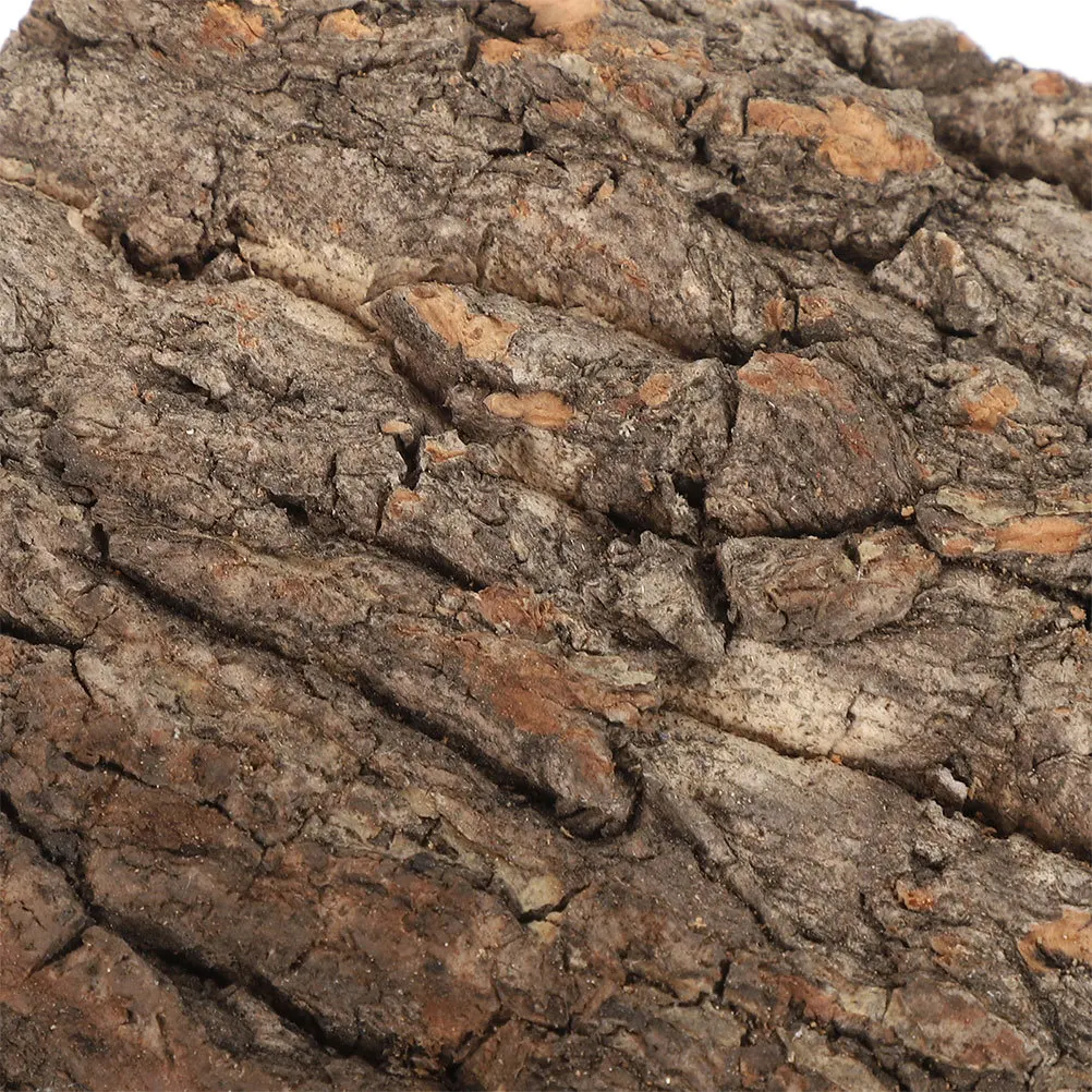 2Pcs Cork Bark for Reptiles Terrarium Decor Reptile Tank Accessories Natural Wear Resistant Safe Habitat for Lizards Turtles
2Pcs Cork Bark for Reptiles Terrarium Decor Reptile Tank Accessories Natural Wear Resistant Safe Habitat for Lizards Turtles