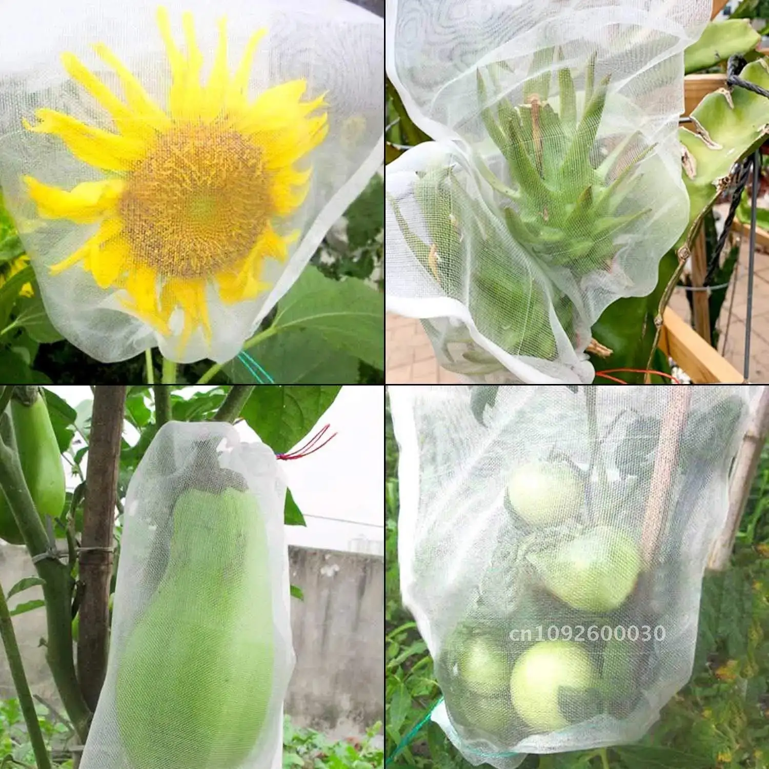 50 Pcs Barrier Bag Protection Insects Bug Net Fruit Bag Grapes Mesh Fruit Apples Protection Tree Grow Bags for Bags Tomatoes
50 Pcs Barrier Bag Protection Insects Bug Net Fruit Bag Grapes Mesh Fruit Apples Protection Tree Grow Bags for Bags Tomatoes