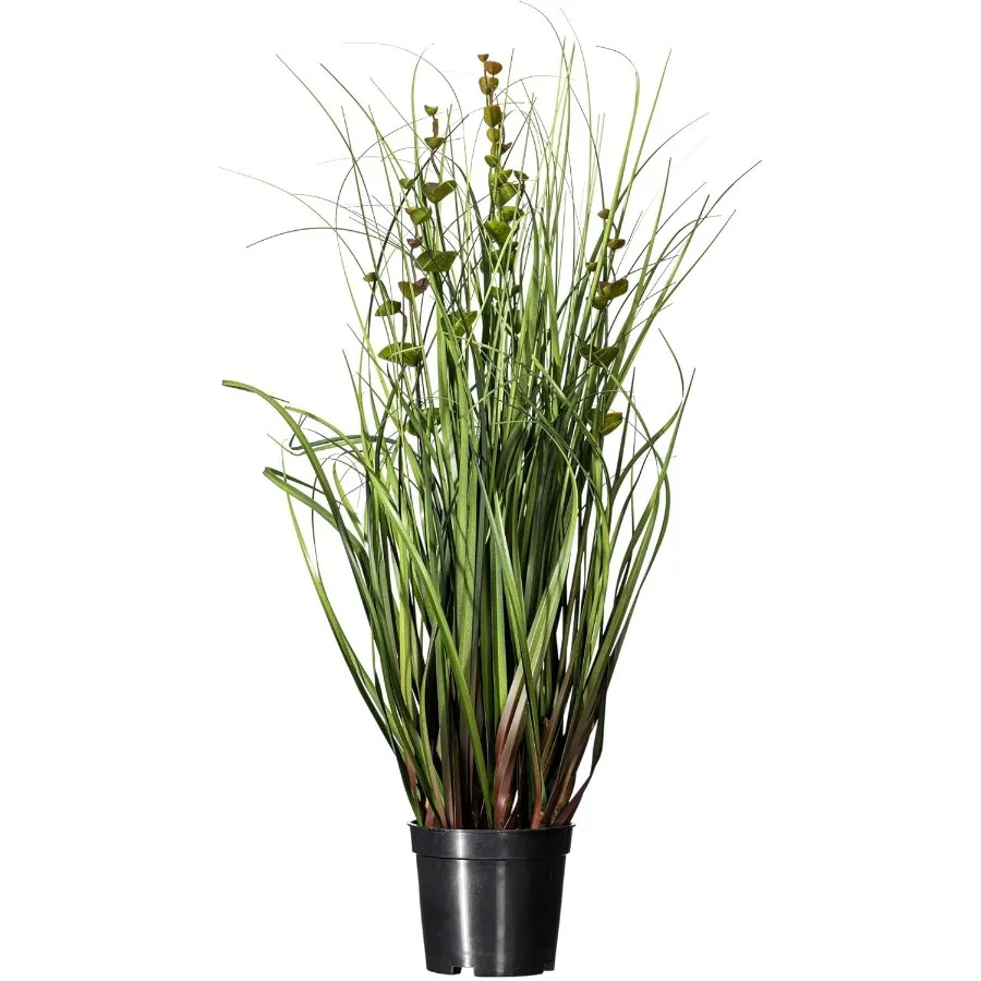 Everyday 24 Artificial Green Grass and Eucalyptus with Black Plastic Pot Faux Grass Plant Decor for Home or Office Indoor Green
Everyday 24 Artificial Green Grass and Eucalyptus with Black Plastic Pot Faux Grass Plant Decor for Home or Office Indoor Green