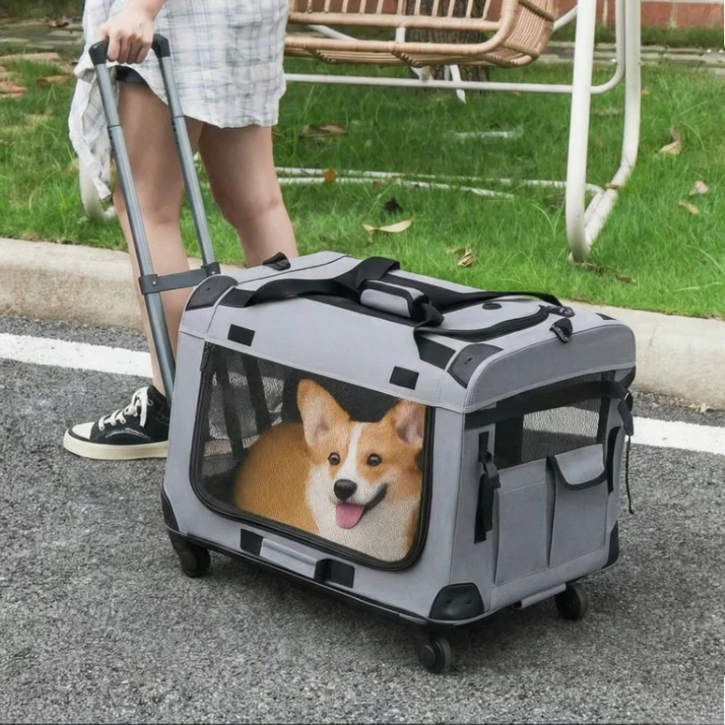 Two Compartments Cat Carrier Portable Pet Trolley for Multiple Cats Breathable Travel Bag with Wheels Large Capacity Cat Trolley
Two Compartments Cat Carrier Portable Pet Trolley for Multiple Cats Breathable Travel Bag with Wheels Large Capacity Cat Trolley