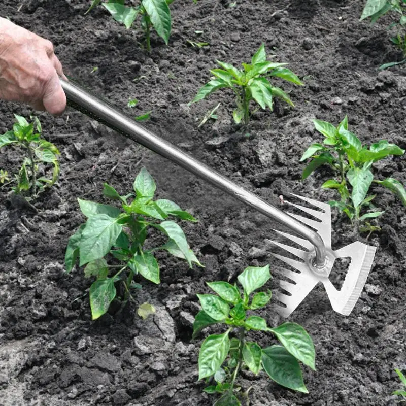 Manual Weed Pulling Tool Stainless Steel Uprooting Hoe 11 Tooth Gardening Shovel Multipurpose Lawn Artifact For Digging Cleaning
Manual Weed Pulling Tool Stainless Steel Uprooting Hoe 11 Tooth Gardening Shovel Multipurpose Lawn Artifact For Digging Cleaning