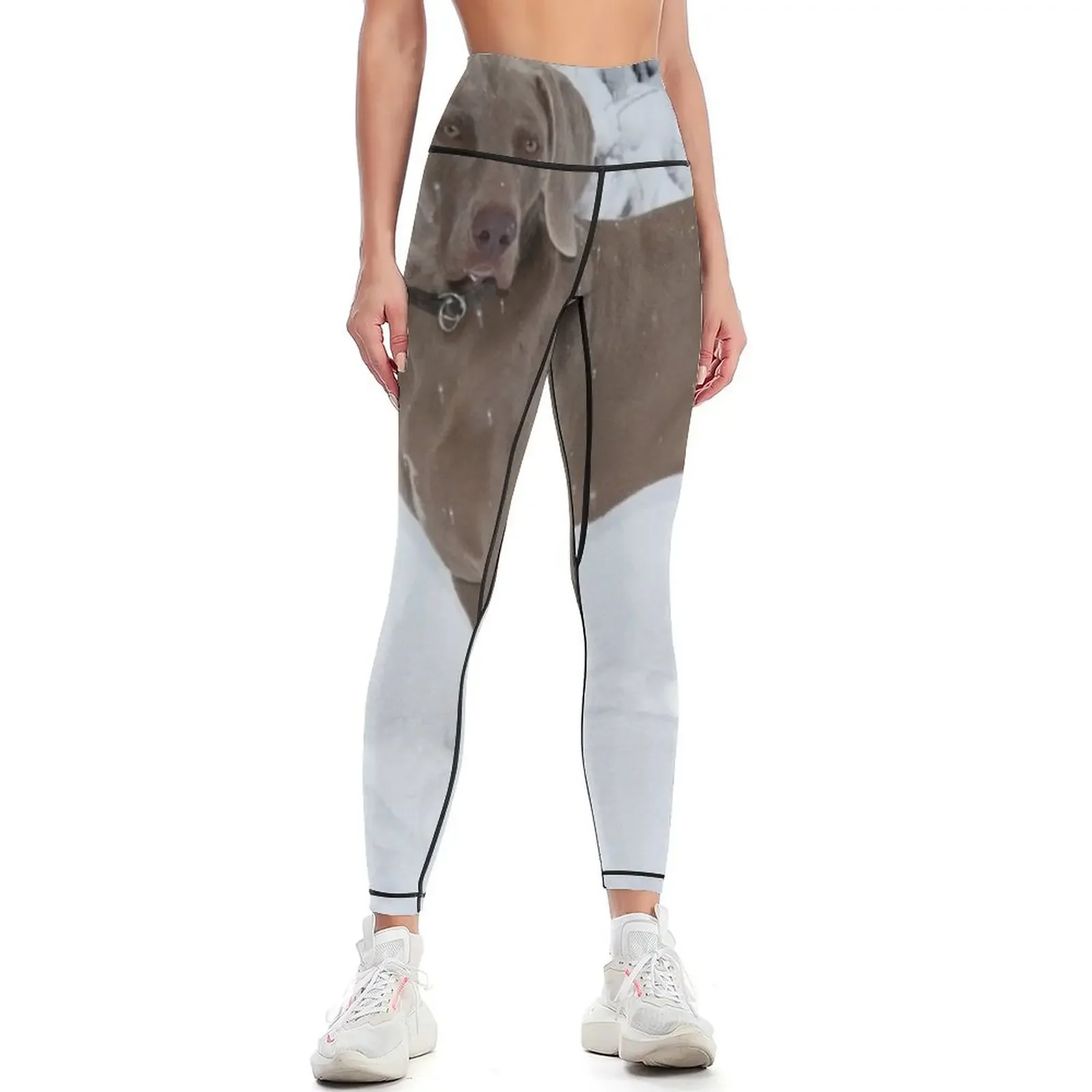 Weimaraner Leggings jogging pants Golf wear push up fitness Women's sports Womens Leggings
Weimaraner Leggings jogging pants Golf wear push up fitness Women's sports Womens Leggings
