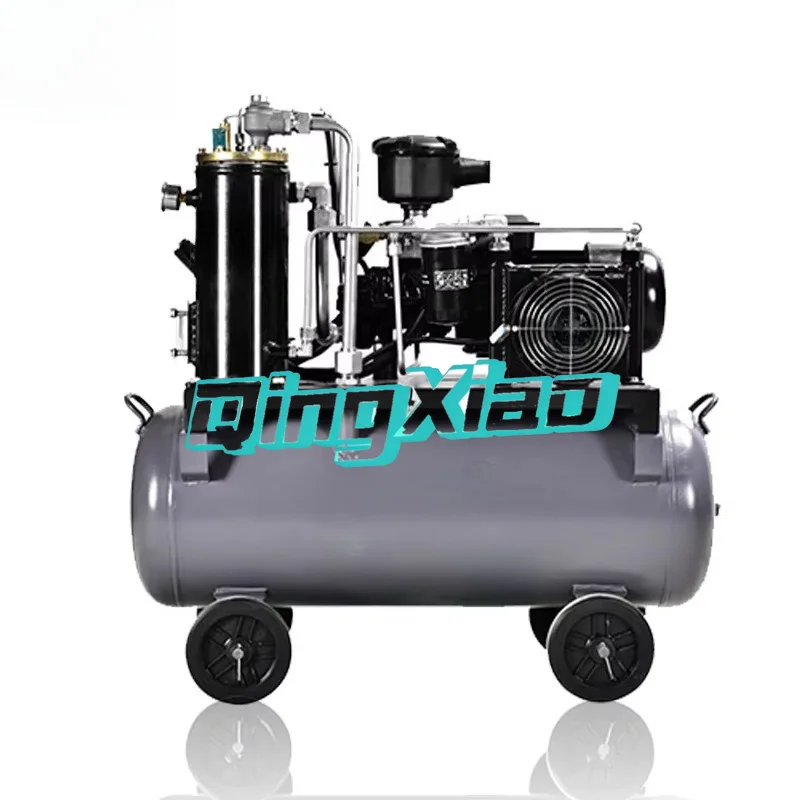 3000W Electric Portable Air Compressor Variable Frequency Screw In Car Spraying Furniture Coating Pneumatic Tool Supporting Work
3000W Electric Portable Air Compressor Variable Frequency Screw In Car Spraying Furniture Coating Pneumatic Tool Supporting Work