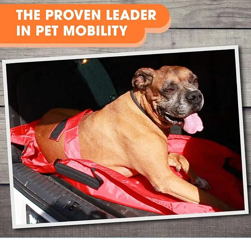 Dog Carrying Stretcher Carrying Stretcher For Animal Lightweight Patient Animals Lifting Rescue Supplies For Small Large Puppy
Dog Carrying Stretcher Carrying Stretcher For Animal Lightweight Patient Animals Lifting Rescue Supplies For Small Large Puppy