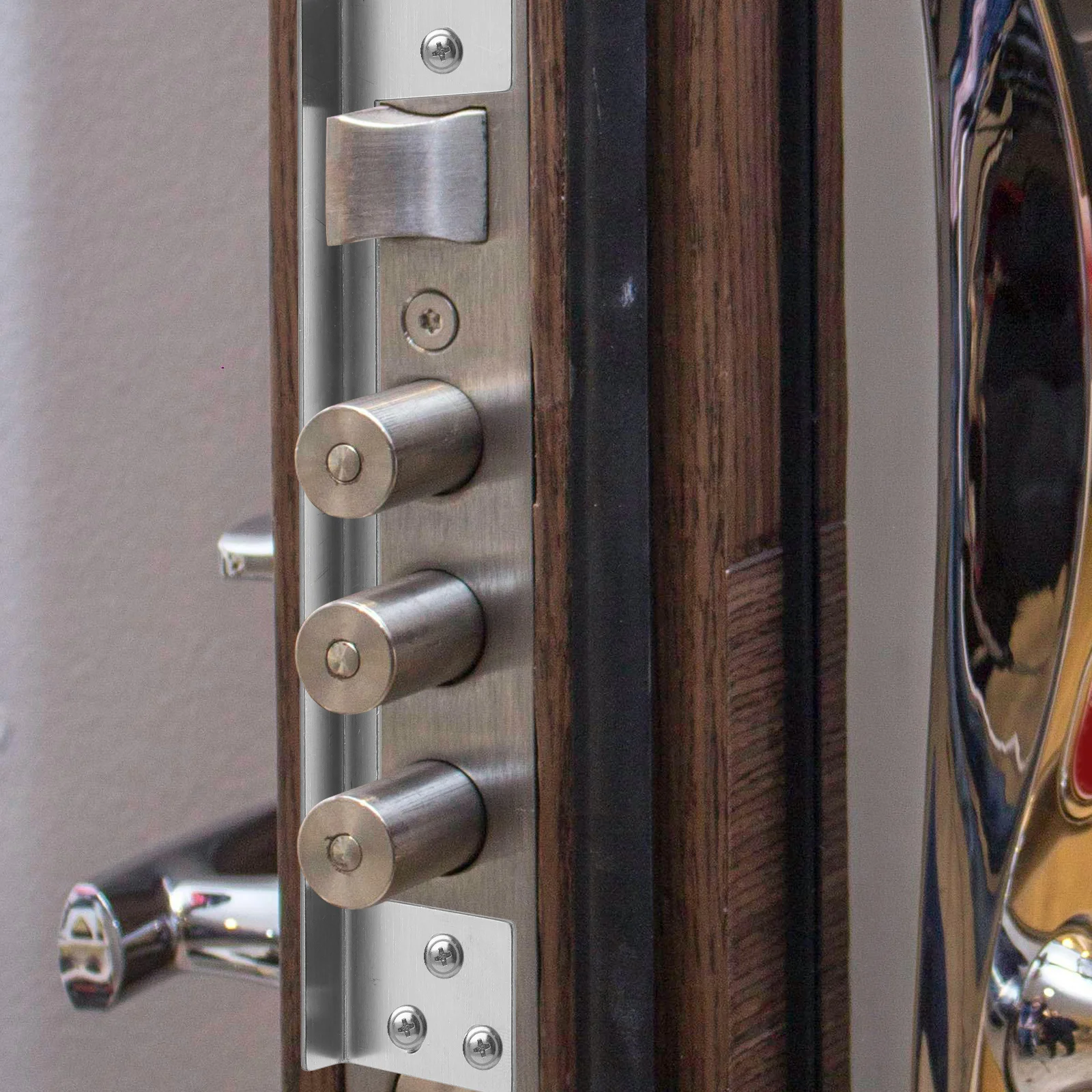 Latch Guard Stainless Steel Outswing Latch Protector For Door Security Lock Outswing Door Security Reinforcement
Latch Guard Stainless Steel Outswing Latch Protector For Door Security Lock Outswing Door Security Reinforcement