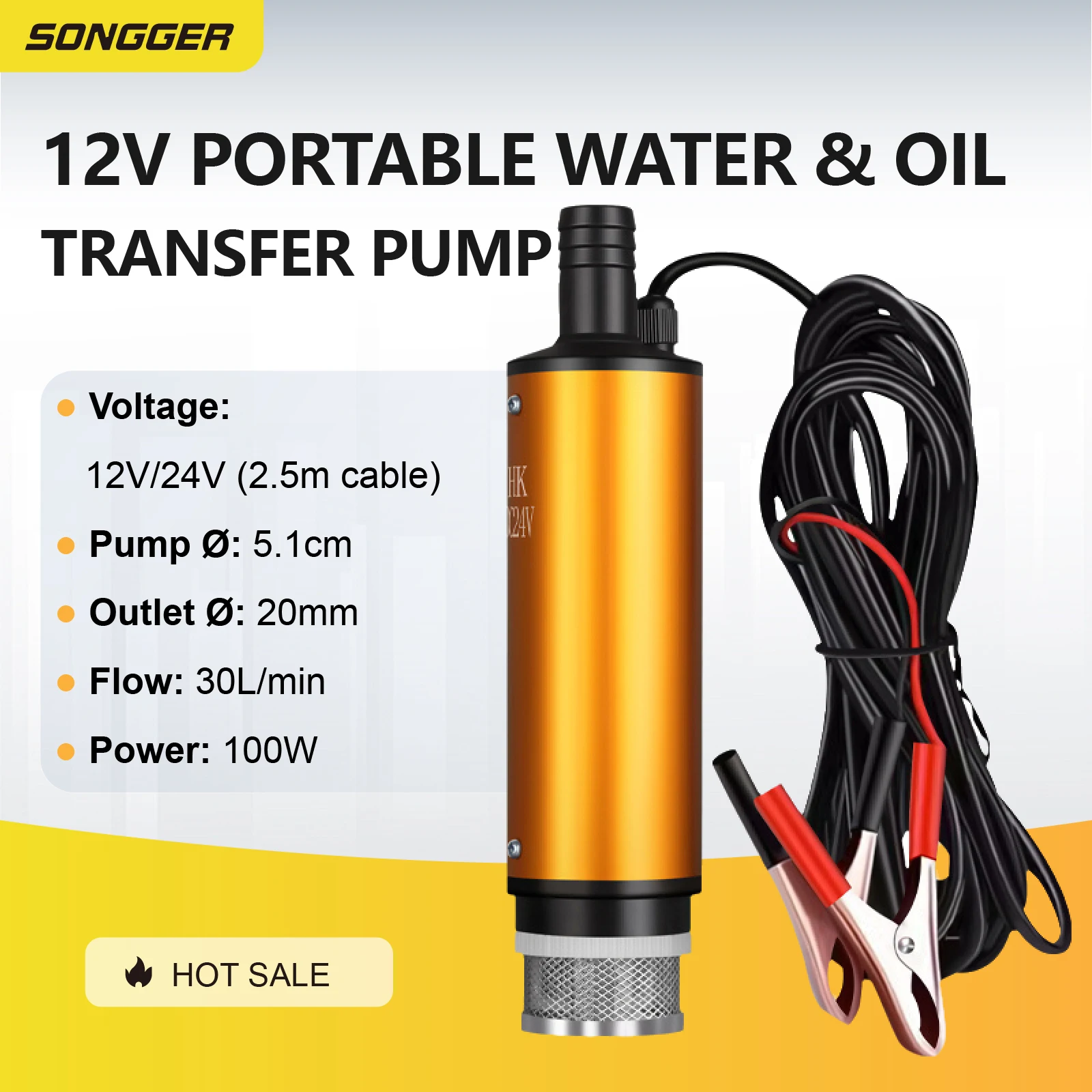 Portable Submersible Fuel Pump 12V 24V Electric Diesel Oil Water Transfer Pump with Clips for Car Battery Outdoor Camping Use
Portable Submersible Fuel Pump 12V 24V Electric Diesel Oil Water Transfer Pump with Clips for Car Battery Outdoor Camping Use
