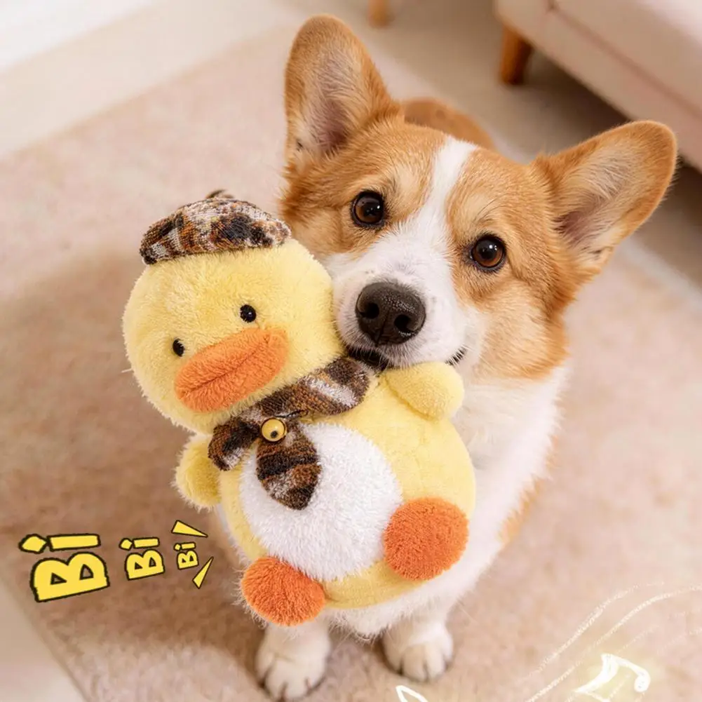 Small Dog Toys Squeaky Plush Dog Toy Set Bite-resistant Chew Toys for Puppies Medium Dogs Teeth Anxiety Relief Playthings Dog
Small Dog Toys Squeaky Plush Dog Toy Set Bite-resistant Chew Toys for Puppies Medium Dogs Teeth Anxiety Relief Playthings Dog