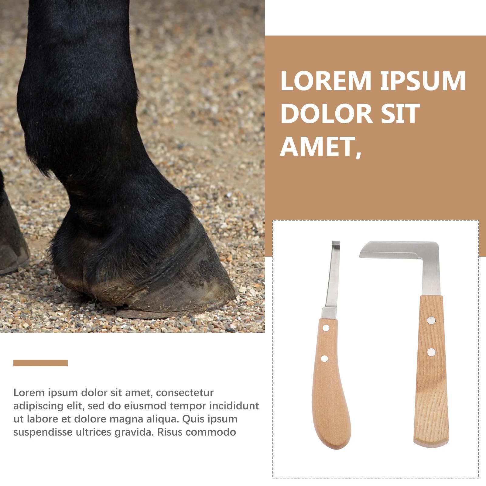 2Pcs Hoof Repair Tool Set Heavy Duty Horseshoe File for Horse Shoeing Fast Cutting Cattle Foot Trimmer Equestrian Supply
2Pcs Hoof Repair Tool Set Heavy Duty Horseshoe File for Horse Shoeing Fast Cutting Cattle Foot Trimmer Equestrian Supply